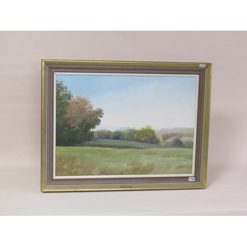 1143 - OLIVE WALKER - VIEW FROM FELDEN, SIGNED IN MONO, OILON CANVAS, FRAMED, 49CM X 68CM