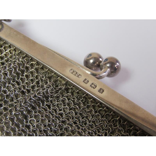 1427 - SILVER CHAIN PURSE