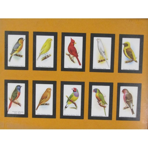 1165 - FRAMED SERIES OF 50 JOHN PLAYER AND SONS AVAIRY AND CAGE BIRDS CIGARETTE CARDS