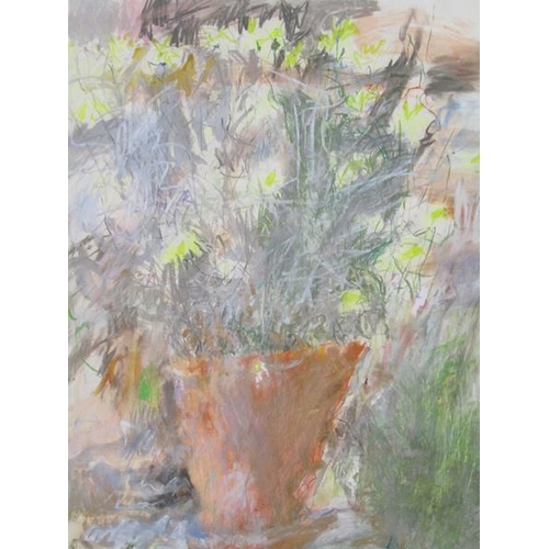 1216 - JACQUIE TURNER - LARGE DAISY PLANT 1987, SIGNED, WATERCOLOUR, F/G, 80CM X 62CM