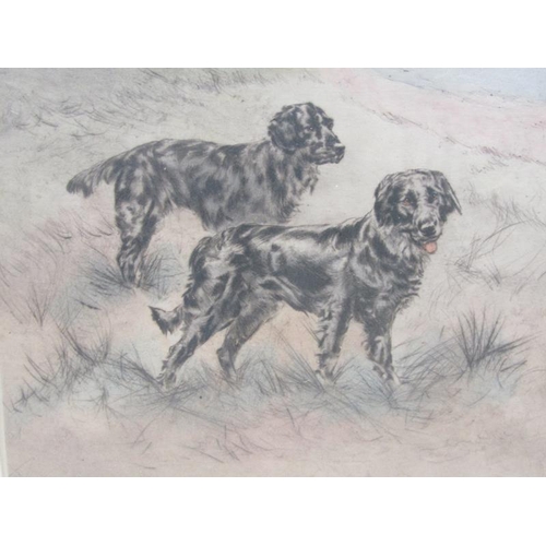 1223 - HENRY WILKINSON - TWO DOGS, SIGNED IN PENCIL, LIMITED EDITION PRINT 148/200, F/G, 25CM X 35CM