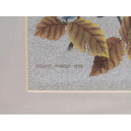 1235 - DAVID MEAD 1979 - SPARROW & BLUETITS, PAIR, SIGNED AND DATED WATERCOLOURS, F/G, EACH 23CM X 11CM