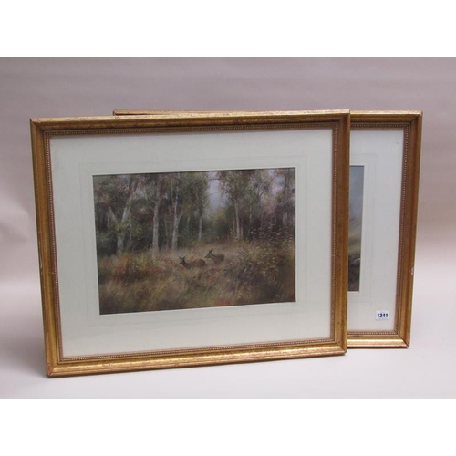 1241 - JOHN ROSS - PAIR, DEER IN EAST BENLA FOREST, SIGNED EACH F/G, 32CM X 45CM