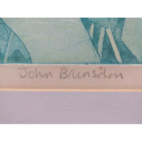 1242 - JOHN BRUNSDON - TROPICAL ISLANDS, LIMITED EDITION COLOURED PRINT, 37/100, SIGNED IN PENCIL, FRAMED, ... 