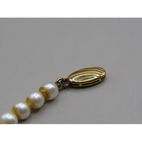 1539 - STRING OF PEARL BEADS WITH GOLD CLASP