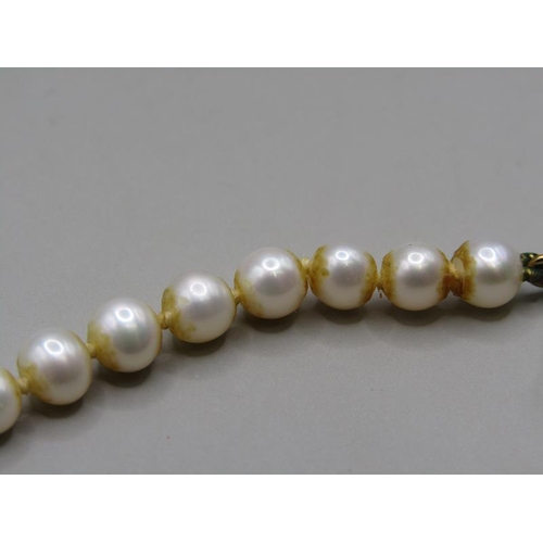 1539 - STRING OF PEARL BEADS WITH GOLD CLASP