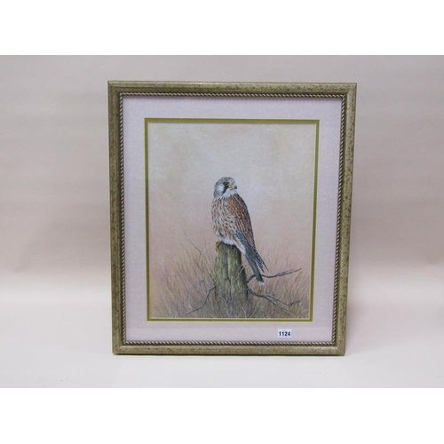 1124 - JOHN STRAW - KESTREL, SIGNED WATERCOLOUR, F/G, 44CM X 36CM