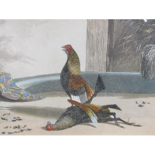 1188 - TWO COCK FIGHTING PRINTS