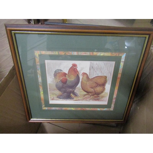 144 - FRAMED PRINTS AND STILL LIFE