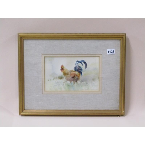 1133 - SIGNED INDISTINCTLY DATED 1978 - COCKEREL, F/G, 14CM X 22CM