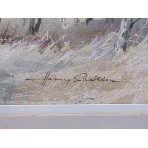 1138 - HARRY SHELDON - DEER IN SILVER BIRCH, BERKHAMSTED COMMON, SIGNED WATERCOLOUR, F/G, 35CM X 52CM