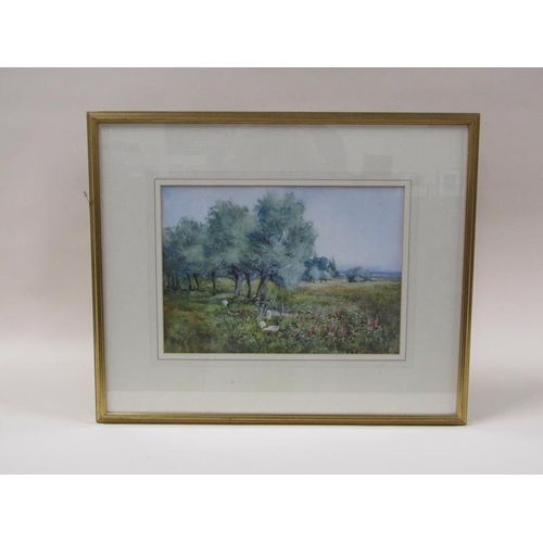 1227 - Emily Stannard - signed and inscribed in verso, Newnham Brook near Bedford, c.1900, signed watercolo... 