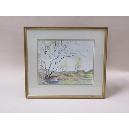 1228 - Harry Sheldon - silver birch on the common, signed watercolour, framed and glazed, 28cm x 35cm.