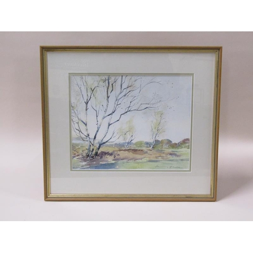 1228 - Harry Sheldon - silver birch on the common, signed watercolour, framed and glazed, 28cm x 35cm.