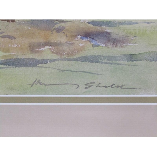 1228 - Harry Sheldon - silver birch on the common, signed watercolour, framed and glazed, 28cm x 35cm.