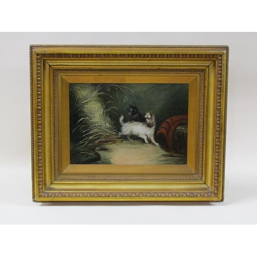 1260 - J Langlois - two terriers chasing a rat, signed, oil on canvas, framed, 24cm x 34.5cm.