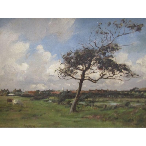 1263 - William Darling McKay - wind swept landscape with cattle and distant town, signed in mono 'WDM', oil... 