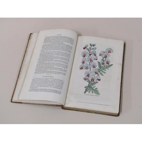 1383 - Twelve books being the Folri Cultural Cabinet and Florists Magazine commencing March 1833 being volu... 