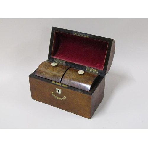 1457 - A 19c burr wood dome top two compartment tea caddy with white bone inlay, 20cm w.