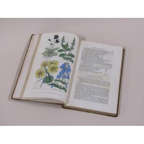 1383 - Twelve books being the Folri Cultural Cabinet and Florists Magazine commencing March 1833 being volu... 