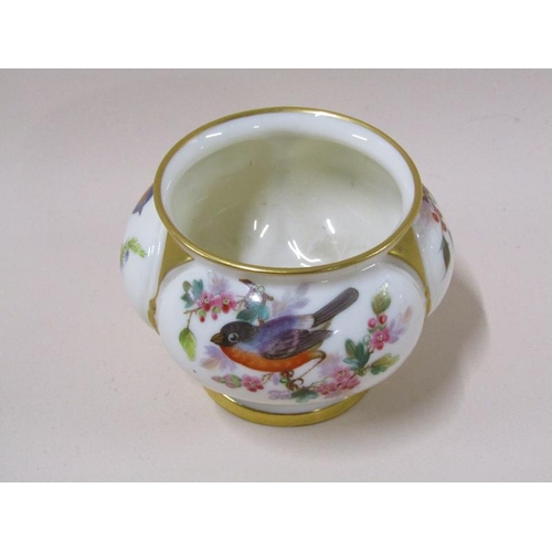 1959 - A Royal Worcester lobed footed pot, hand painted with finches and robin perched with berries and blo... 