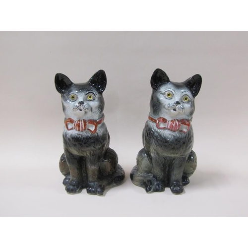 1981 - A pair of 19c Victorian Staffordshire cats, black and white with red bows and glass eyes, 32cm h.