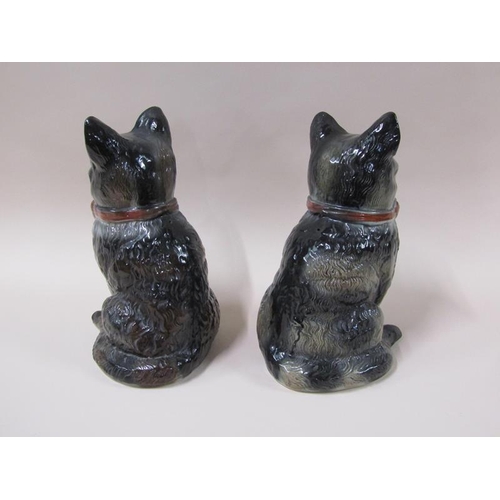 1981 - A pair of 19c Victorian Staffordshire cats, black and white with red bows and glass eyes, 32cm h.