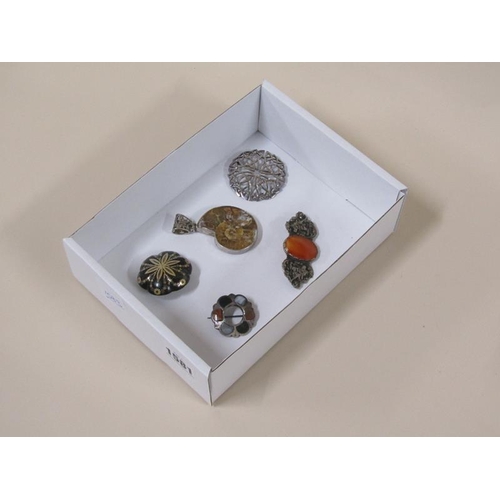 1581 - Collection of five brooches and pendant brooches to incl. one silver fossil mounted