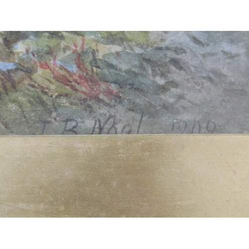 1230 - TB Nool 1909, A farmyard scene with a figure seated on a stone wall, signed.  Watercolour f/g 25 x 3... 