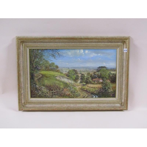 1313 - T Bradshawe, summertime, landscape with cottage in the foreground.  Oil on canvas.  Framed 35 x 60 c... 