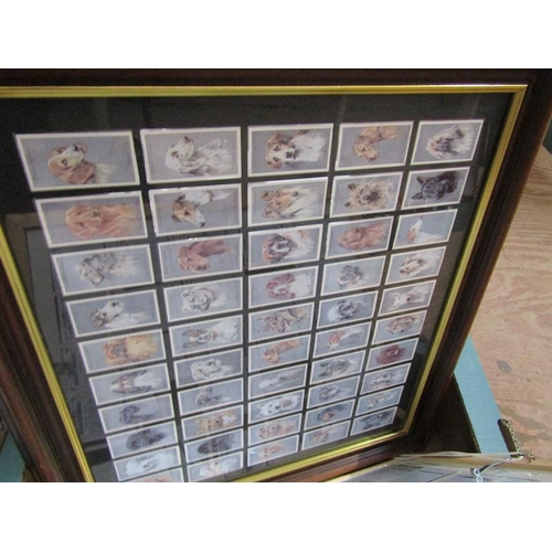 214 - FRAMED PRINTS AND CIGARETTE CARDS