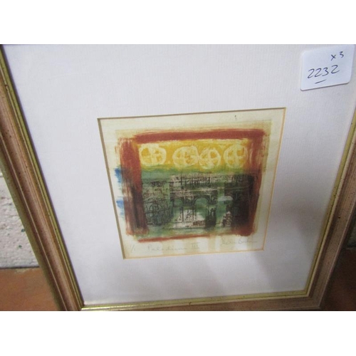 365 - SIGNED AND FRAMED LIMITED COLOURED ETCHINGS