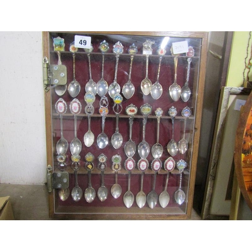 49 - CASED SOUVENIR SPOONS