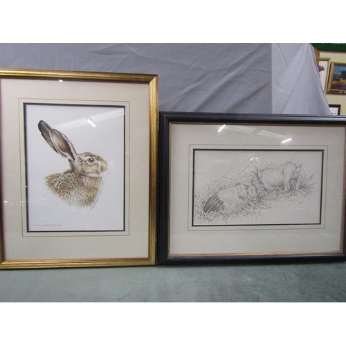 1215 - PETER CURRINGTON 99 - HARE, SIGNED WATERCOLOUR, F/G, 32CM X 24CM; B&W PRINT - TWO PIGS, F/G, 20CM X ... 