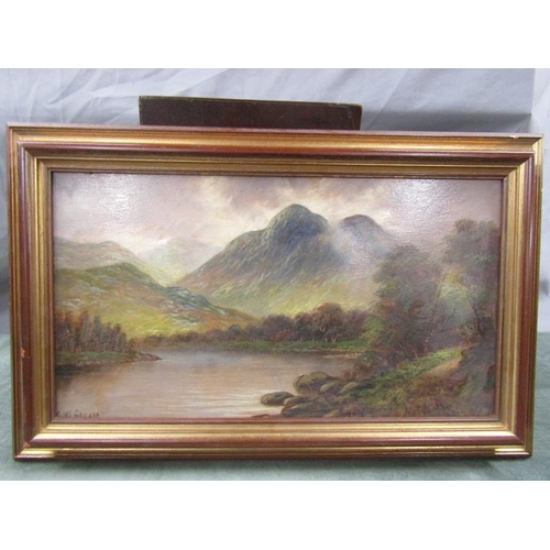 1232 - G McGREADE - RIVER IN THE SCOTTISH HIGHLANDS, SIGNED.  OIL ON BOARD.  FRAMED 24 x 44 cms