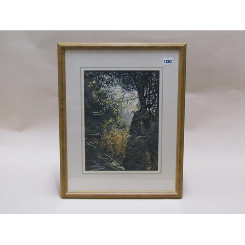 1293 - SIGNED COLOURED PRINT - WOODLAND GLADE, F/G, 36CM X 25CM