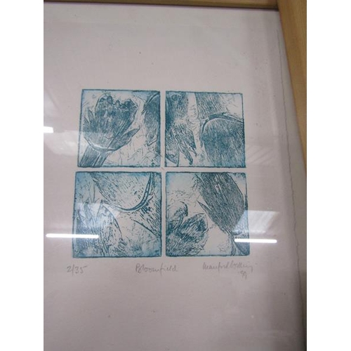 119 - FRAMED LIMITED PENCIL SIGNED ETCHINGS - ABSTRACT MANFRED WELLING