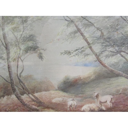 1030 - W ROBERTS - SHEEP RESTING, SIGNED WATERCOLOUR.  F/G 33 x 46 cms