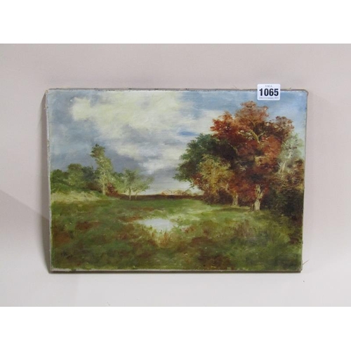 1065 - MONO RH 1905 - AUTUMN LANDSCAPE, SIGNED OIL ON CANVAS, UNFRAMED, 26CM X 36CM