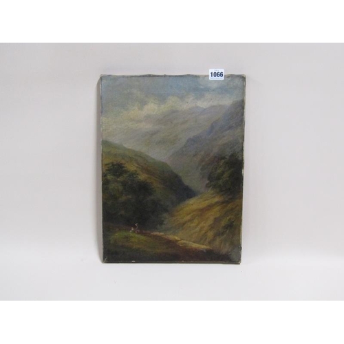 1066 - RICHARD ELMORE - EDALE, SIGNED IN MONO, OIL ON CANVAS, UNFRAMED, 40CM X 30CM