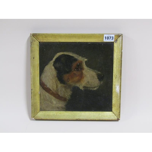 1073 - UNSIGNED LATE 19C TERRIER DOG, 22CM X 22CM