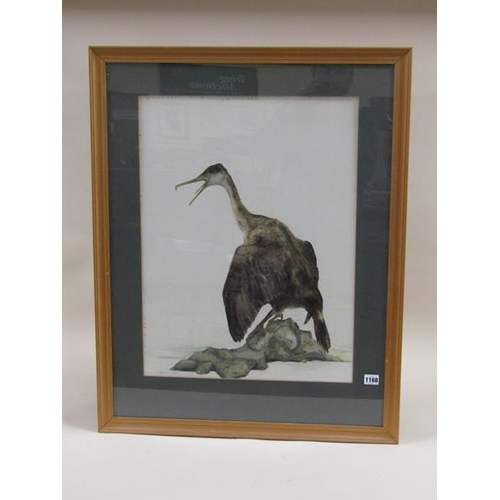 1168 - H EAMES - CORMORANT, WATERCOLOUR, SIGNED, F/G, 61CM X 45CM