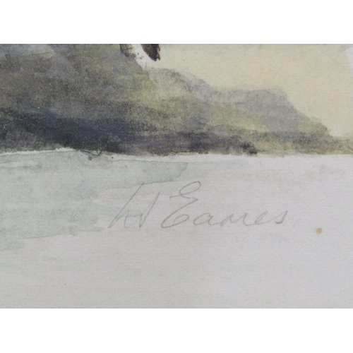 1168 - H EAMES - CORMORANT, WATERCOLOUR, SIGNED, F/G, 61CM X 45CM