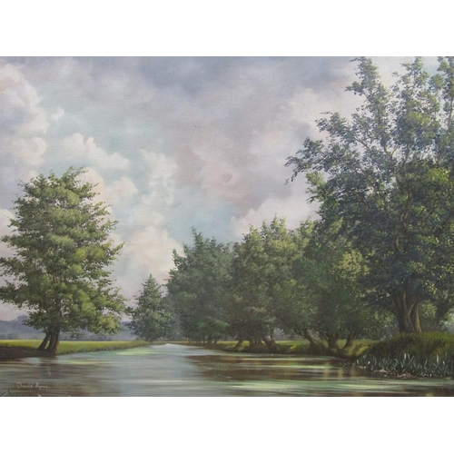 1216 - DONALD AYRES - RIVERSCAPE, SIGNED OIL ON CANVAS, FRAMED, 50CM X 75CM