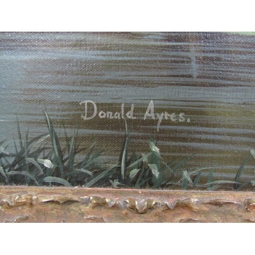 1216 - DONALD AYRES - RIVERSCAPE, SIGNED OIL ON CANVAS, FRAMED, 50CM X 75CM