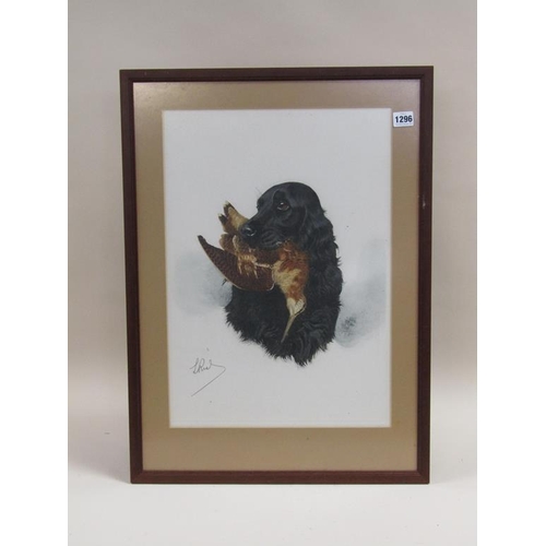 1296 - F/G COLOURED PRINT - BLACK SPANIEL WITH WOODCOCK, F/G, 50CM X 35CM