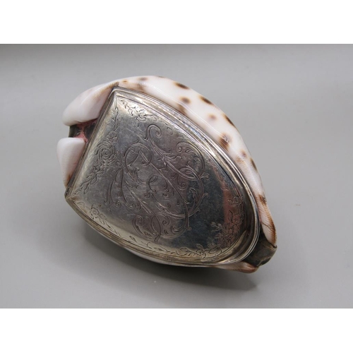 40 - A late 19c/early 20c conch shell snuff box with silver plated hinged lid, 8cm w.