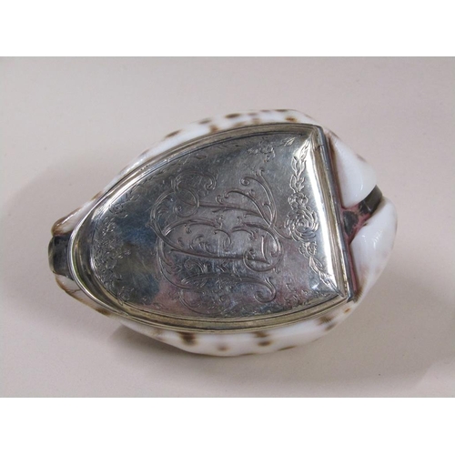 40 - A late 19c/early 20c conch shell snuff box with silver plated hinged lid, 8cm w.