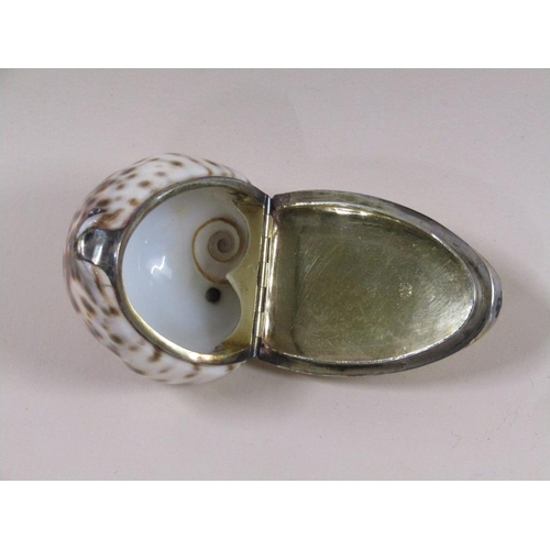 40 - A late 19c/early 20c conch shell snuff box with silver plated hinged lid, 8cm w.