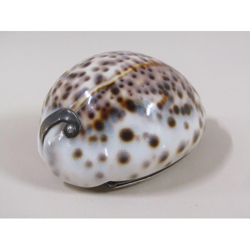 40 - A late 19c/early 20c conch shell snuff box with silver plated hinged lid, 8cm w.